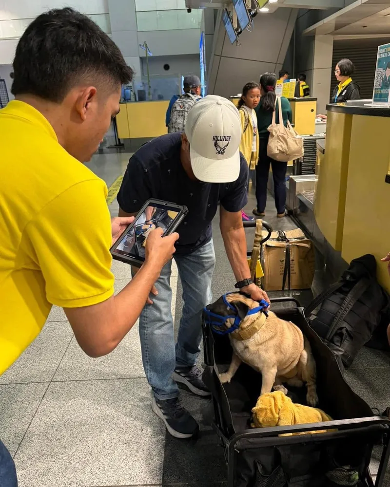 Check-in counter assistance · NAIA Terminal, Manila
