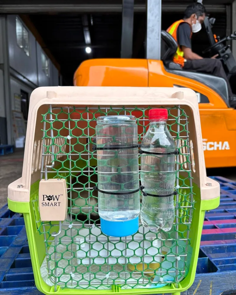IATA-compliant crate prep · Cargo warehouse