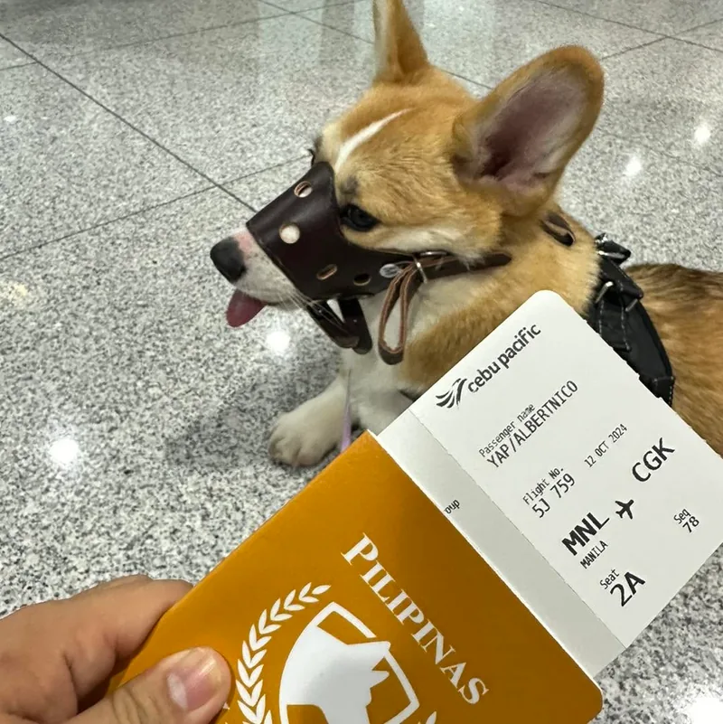 Boarding pass secured · Manila → Jakarta