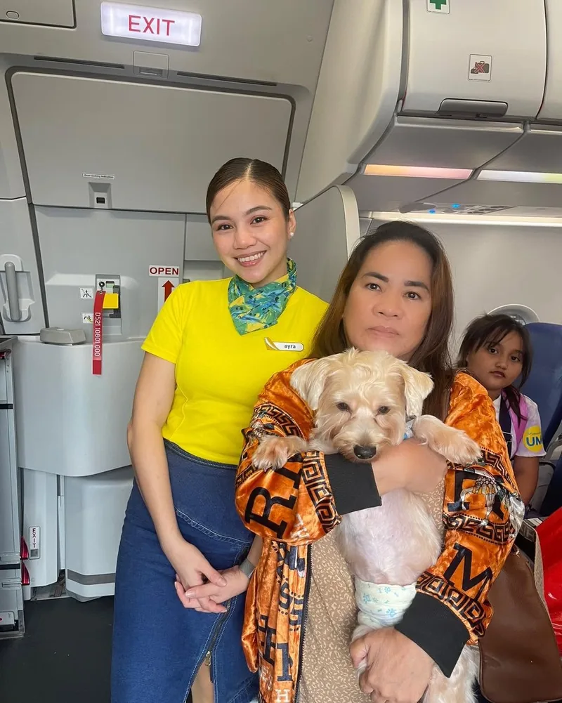 A FurExpress pet settled on board